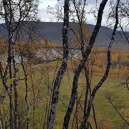 Winther Tourism * Tana